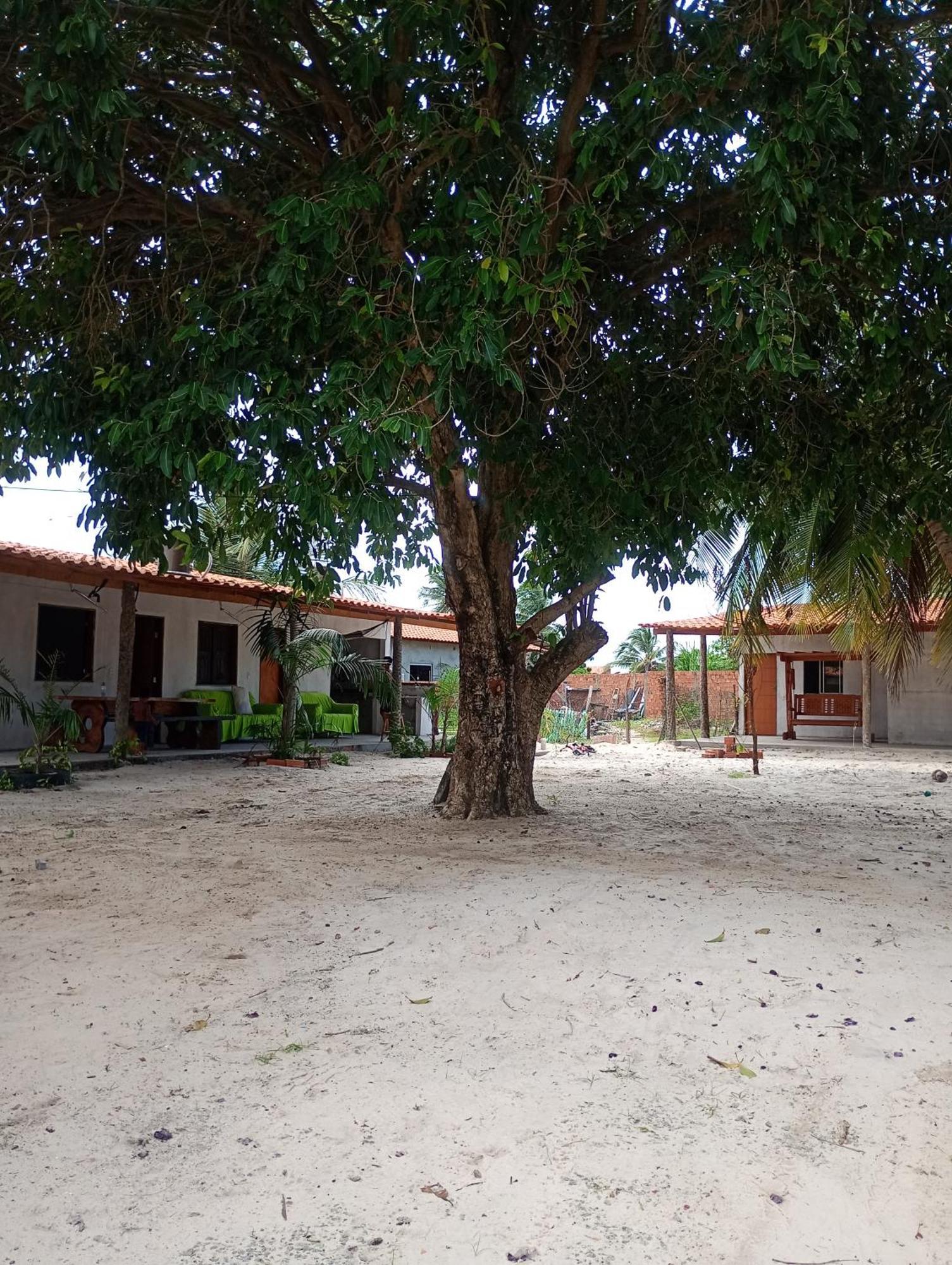 Shalon Cama E Café * Santo Amaro do Maranhao