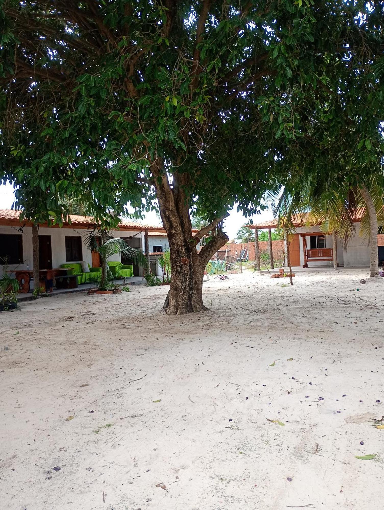 Shalon Cama E Café Bed and breakfast